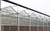 连栋玻璃温室大棚、玻璃温室大棚、齐鑫温室园艺(图)缩略图1