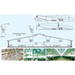 牛舍降温|杰诺温控(在线咨询)|嘉祥牛舍风扇