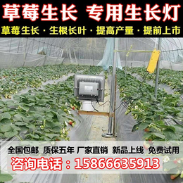 许昌植物灯、led植物灯生长灯、西红柿植物灯(推荐商家)