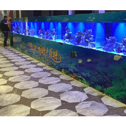 海洋*生物主题展出租观赏热带鱼水母鱼缸展览租赁