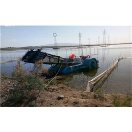 邛崃水葫芦清理船-青州科大矿砂-水葫芦清理船制造厂