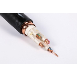白城电线电缆|津达线缆【追求****】|电线电缆种类