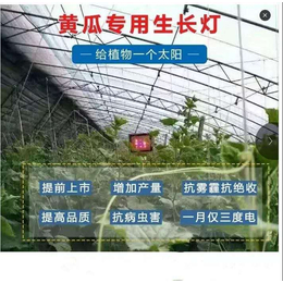 厂家*激光植物生长灯增产提前上市一亩地一个灯