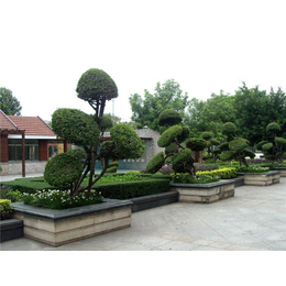 景观打造规划|南京巴山洛水景观|天津景观
