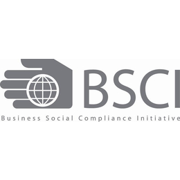 BSCI认证咨询BSCI认证六大等级结果区分GRS认证文件缩略图