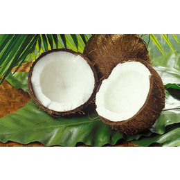 马来西亚椰子进口清关 青岛清关公司