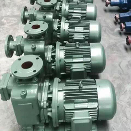 朔州65ZX30-15卧式自吸泵-自吸泵厂家(在线咨询)