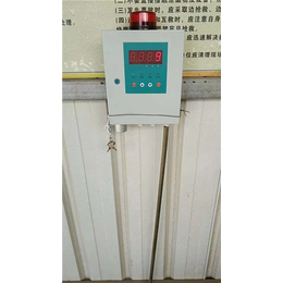 气体检测器-润格安全工程-临沂气体检测器