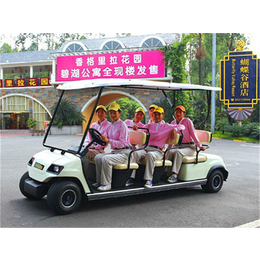 电动高尔夫车费用_三龙_泉州电动高尔夫车