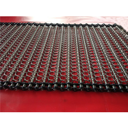 泗洪清洗机网带-生产厂家-金属件去油清洗机网带
