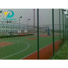 学校球场围网生产、江西学校球场围网、东川丝网(查看)