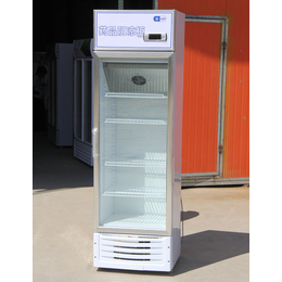 GSP阴凉柜厂家、GSP阴凉柜、盛世凯迪制冷设备销售(图)