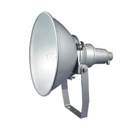 NTC9200A防震型投光灯250W价格