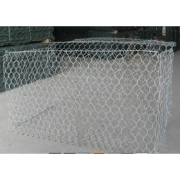 天阔筛网-浸塑石笼网-浸塑石笼网的供货商