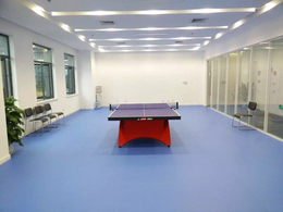 河南乒乓球地板PVC地胶材料