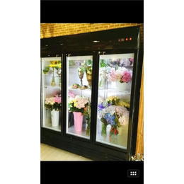立式鲜花柜价格|立式鲜花柜|达硕保鲜设备定做(多图)