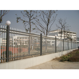 广州铁艺栅栏围墙 佛山通透性护栏 住宅楼防护围栏组装式隔离栏