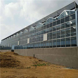 玻璃温室-武汉玻璃温室建设-襄樊玻璃温室