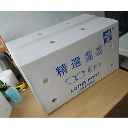 出口水果包装箱厂家-林芝包装箱-潍坊弘特包装(查看)
