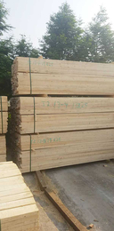 白松建筑木材加工-白松建筑木材-日照创亿木材厂家(图)