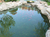 鱼池的设计-尚层景观设计(在线咨询)-鱼池缩略图1