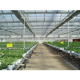 温室用玻璃哪家好-建英农业科技-镇江温室用玻璃
