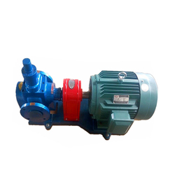 *YCB圆弧齿轮泵食用泵船用泵泊海泵业