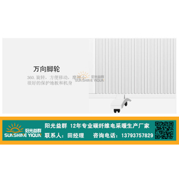 阳光益群(图),壁画式碳纤维电暖器,邯郸碳纤维电暖器