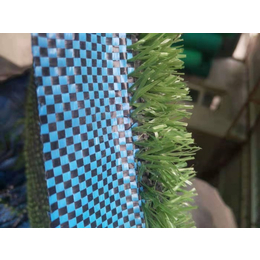巨东化纤(图)-塑料草坪网-杨浦草坪网