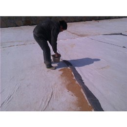 唐能-江西膨润土防水毯-江西膨润土防水毯厂家