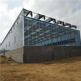 玻璃温室-武汉玻璃温室建设-宜昌玻璃温室大棚
