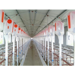 福州肥猪自动料线系统扶持产品1