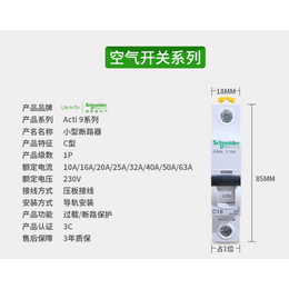 IC65施耐德小型断路器厂家*缩略图