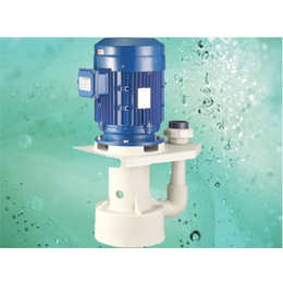 立式耐酸碱泵规格,立式耐酸碱泵,杰凯泵业有限公司