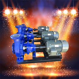 IHF50-32-200离心泵,离心泵,石保泵业(图)