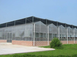 北京鑫秾PC阳光板温室有进出口贸易权的大棚实体厂家	