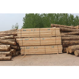 许昌铁杉建筑木材,日照旺源木业有限公司,工地用铁杉建筑木材