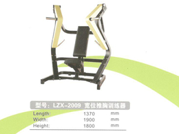 天津肩部训练器-LZX-1006肩部训练器-林动体育
