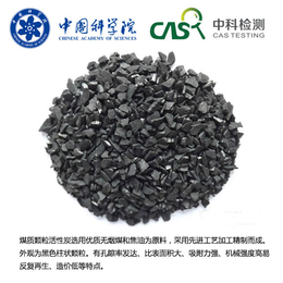 广州哪里可以做煤质活性炭检测-中科院*实验室