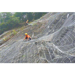 边坡防护网施工,钢丝绳网(在线咨询),鹰潭边坡防护网