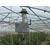 智能温室监测系统*峰、农业种植监管、智能温室监测系统缩略图1