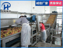 山东恒尔(在线咨询)-天津西红柿清洗流水线供应商