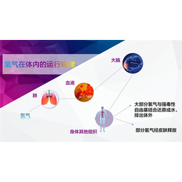 氢气呼吸机批发、广州中氢能源公司、氢气呼吸机