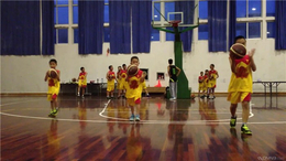 篮球- *体育-篮球教练招聘