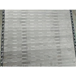 不锈钢冲孔链板规格-不锈钢冲孔链板-三力机械