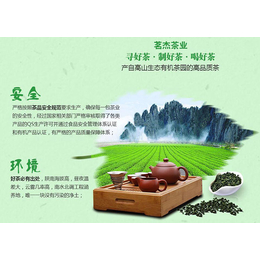 西安绿茶汉中仙毫|绿茶|茗杰茶叶