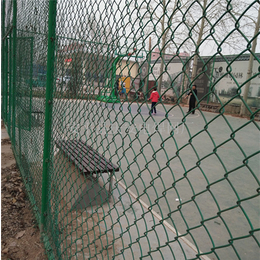 运动场围栏网生产|东川丝网(在线咨询)|香港运动场围栏网