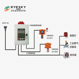 无眼界固定式*气体检测报警仪 厂家*