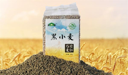 绿小麦富硒面粉厂|润丰农业(在线咨询)|东北面粉