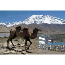 小型<em>骆驼</em>奶生产流水线<em>骆驼</em>奶生产线厂家哪里有